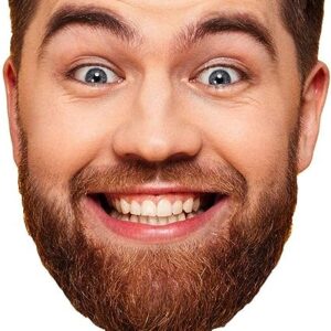 Face Fan / Fan Head – 11 inches